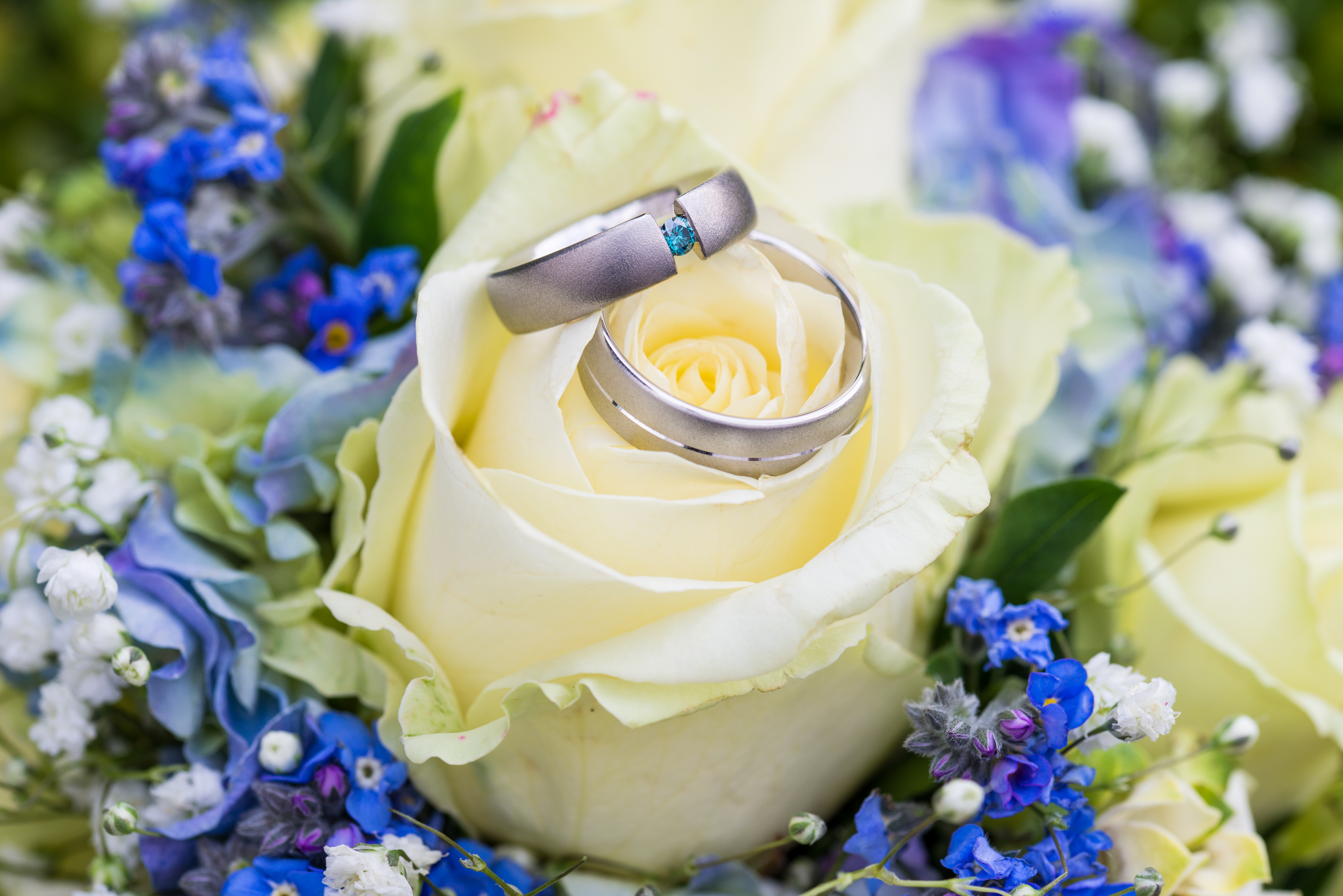 Fotograf in Kronberg - Hochzeit & Trauung - Ringbild mit Blumen als Makroaufnahme im Taunus